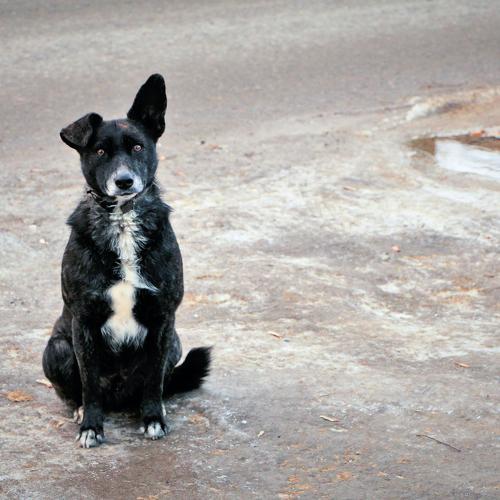 Photo #3040725