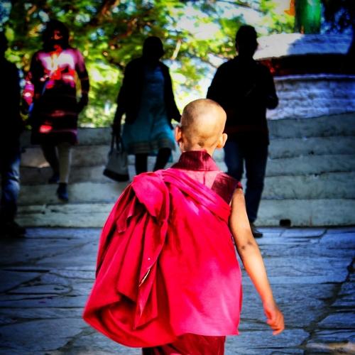 Young Monk in Punakha fortress.