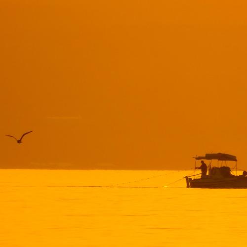 Fishing in the Sunset