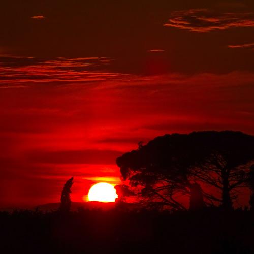 Sunset in the Countryside