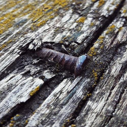 Photo #3042610
