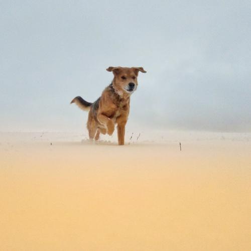 Photo #3042640