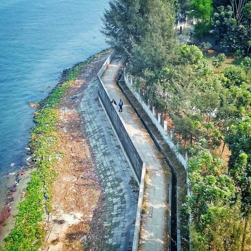 Photo #3042820