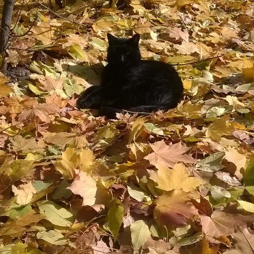 Photo #3042917