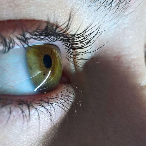 Photo #3044106