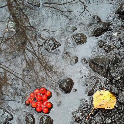 Photo #3044231