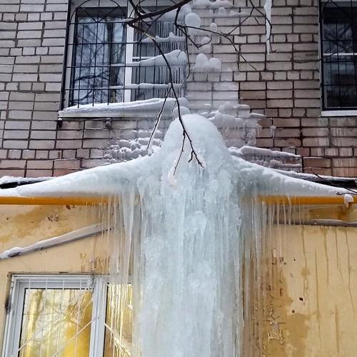 Photo #3044341
