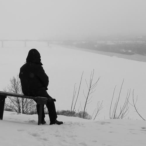 Photo #3044577