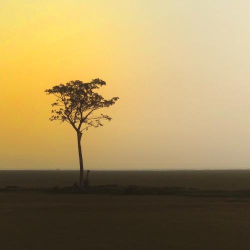 Alone