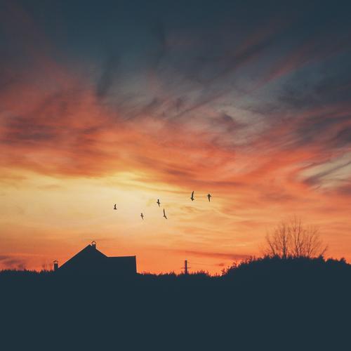 Feel the sun as it's slipping away