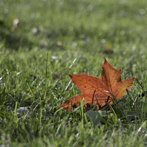 Photo #3045532