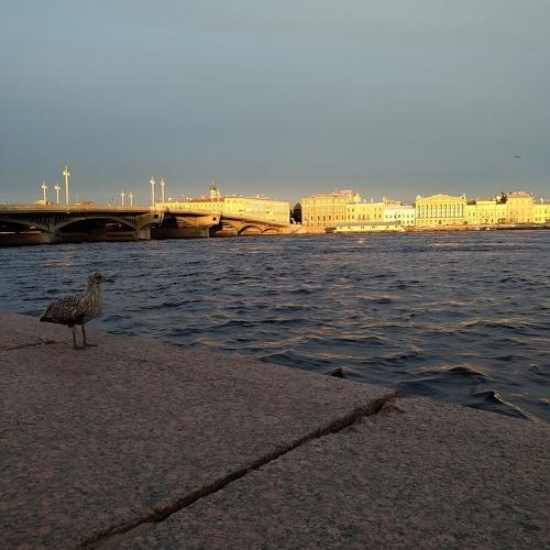 Смотритель города.