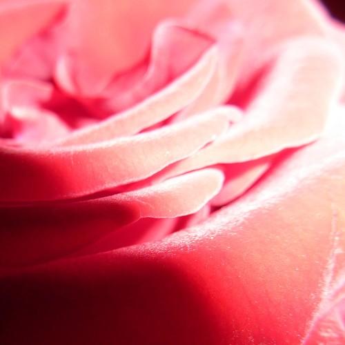 Photo #3045881