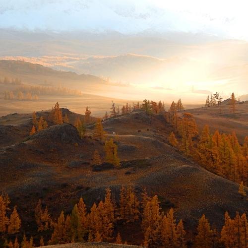 Photo #3046101