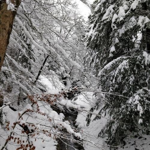 Photo #3047194