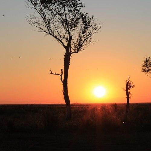 Photo #3047540