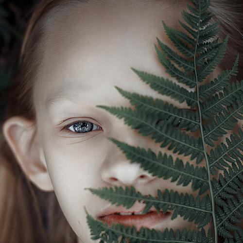 Photo #3048456