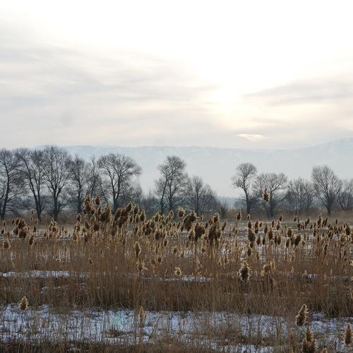 Photo #3048624