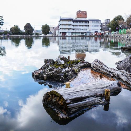 Nara`s Reflection