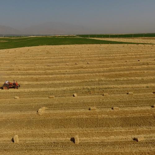 Harvesting