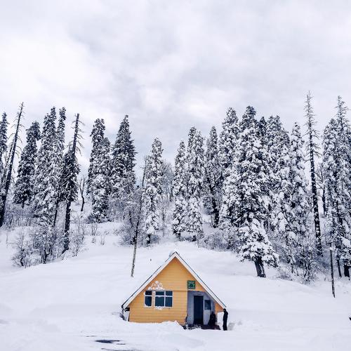 Let it snow...
