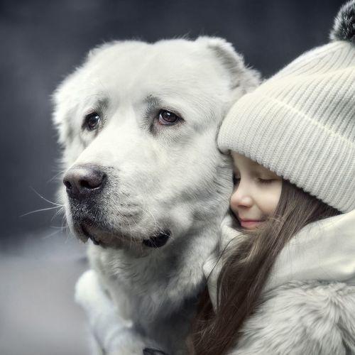 Photo #3050041