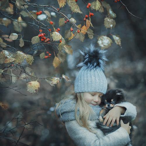 Photo #3050250