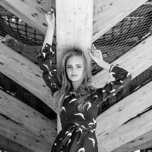 Photo #3050318