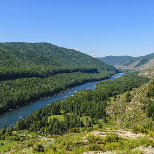 Photo #3050392