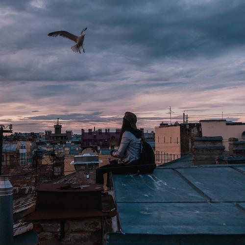 Photo #3050400