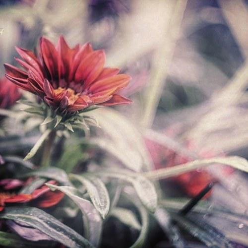 Photo #3050726