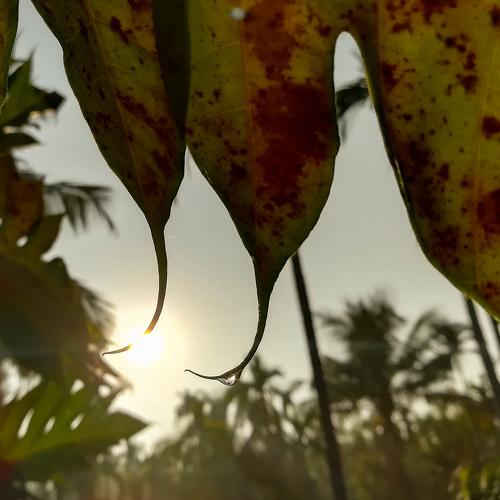 the drop of water...