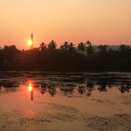 Sun and the Tower