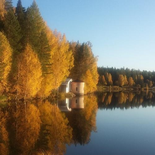 Золотая осень