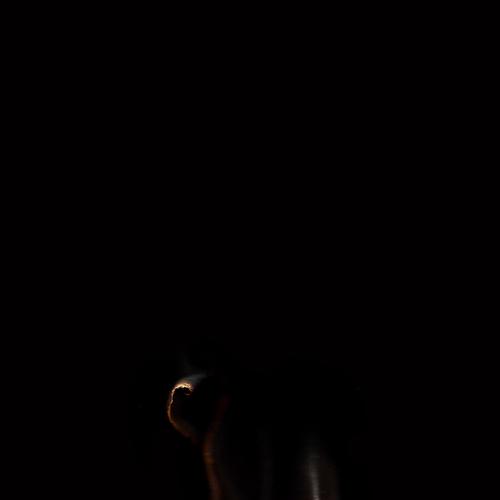 Dreams #6