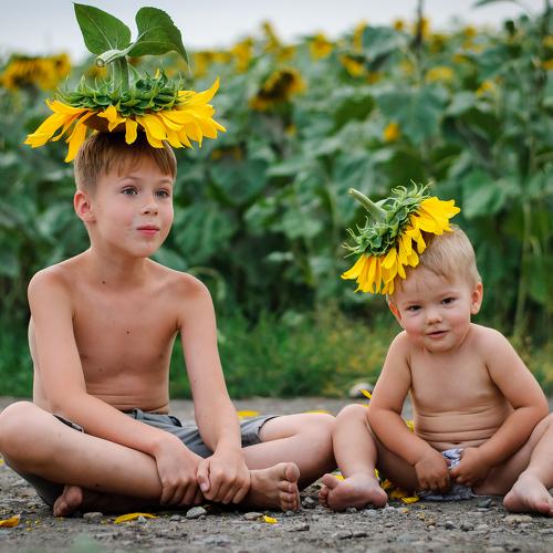Photo #3052961