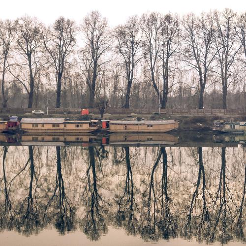 Reflections