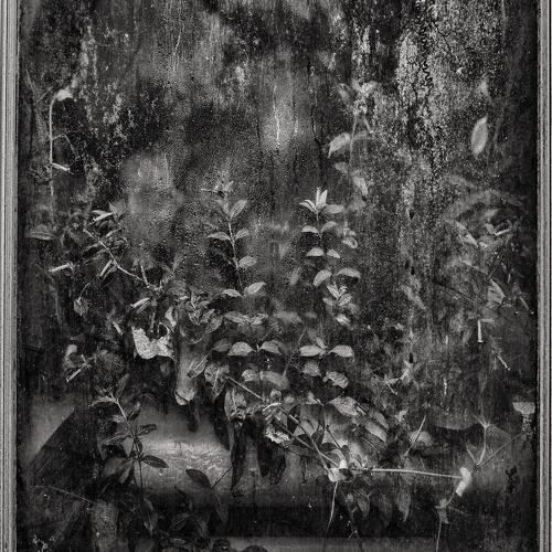The Glasshouse