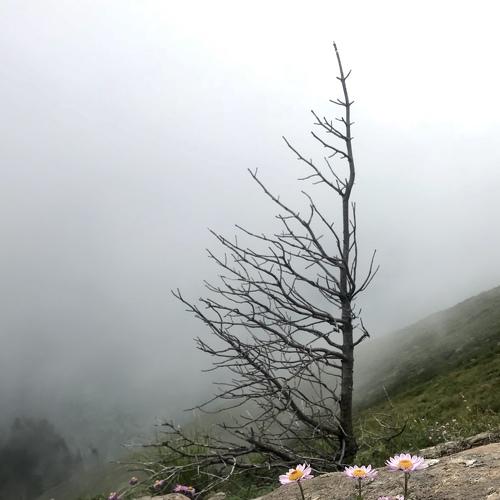 Photo #3054132