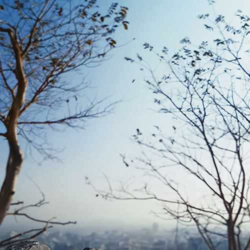 NATURE