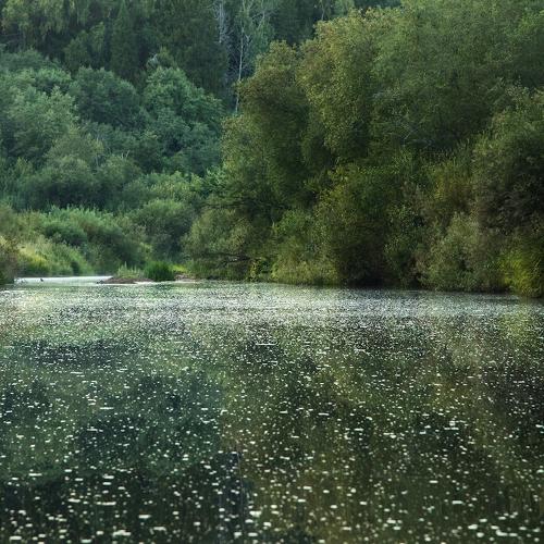 Джунгли малых русских рек