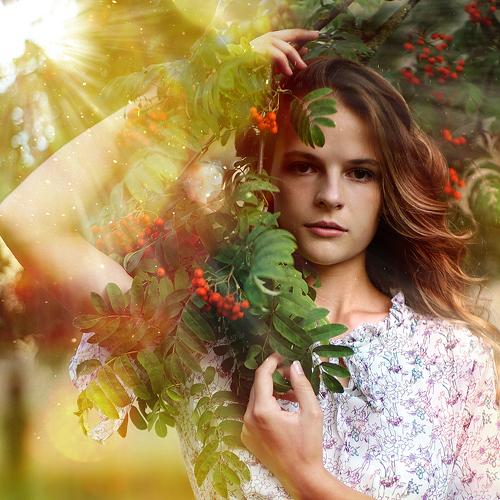 Photo #3055789
