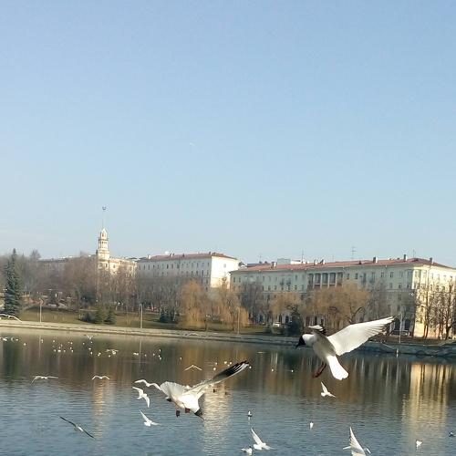Photo #3055953