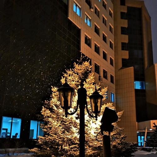 Ранее зимнее утро