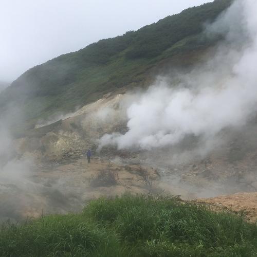 Photo #3056516