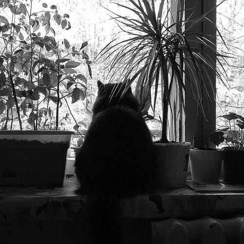 Photo #3057176