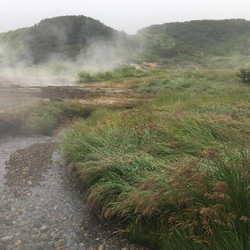 Photo #3057193