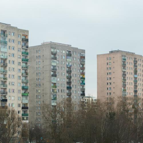 The view from my window.