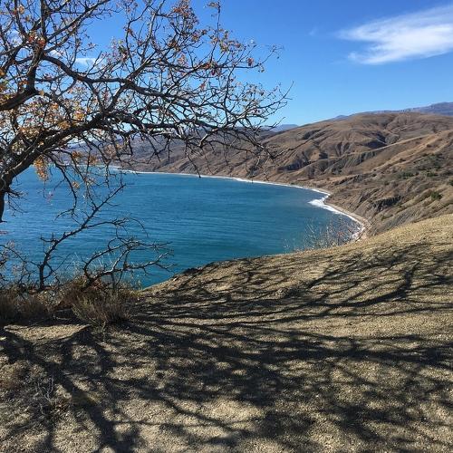 Photo #3057461