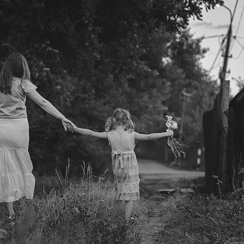 Photo #3057594